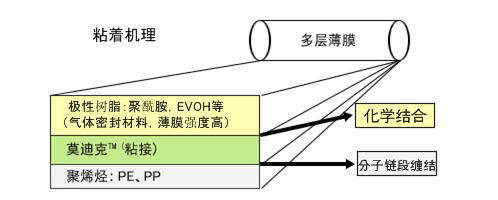 粘着机理